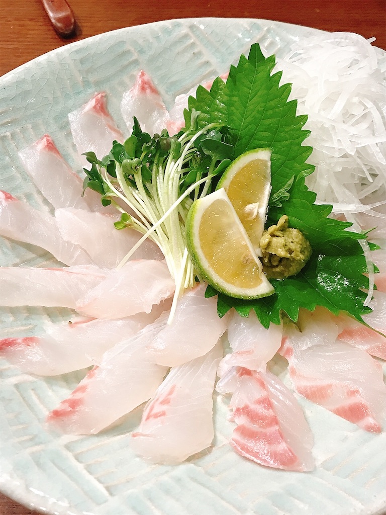 サンノジ,ニザダイ, 磯魚, 真鶴, 熱海