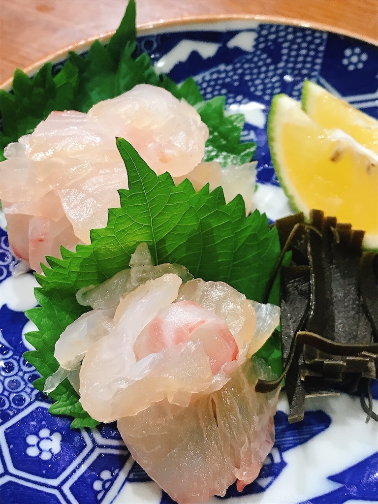 サンノジ,ニザダイ, 磯魚, 真鶴, 熱海