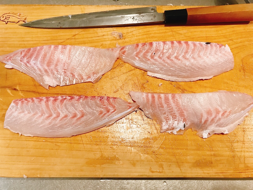 サンノジ,ニザダイ, 磯魚, 真鶴, 熱海