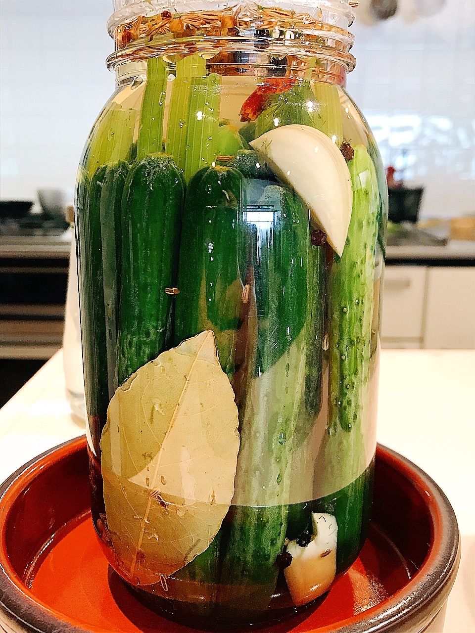 白石もろきゅうり, キュウリ, 発酵, ピクルス, もろきゅう