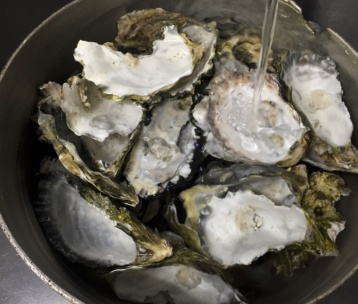 牡蠣, カキ, 開け方, レシピ, 殻つき牡蠣の開けかたと、家で安全においしく食べる方法, オイスター, Oyster, 牡蠣あたる, 生牡蠣