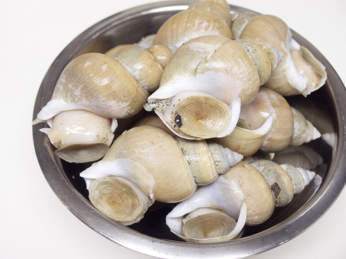 ツブ貝, ばい貝, バイ貝, やわらかい, 煮る, 煮付け, おつまみ, 茹で方, レシピ
