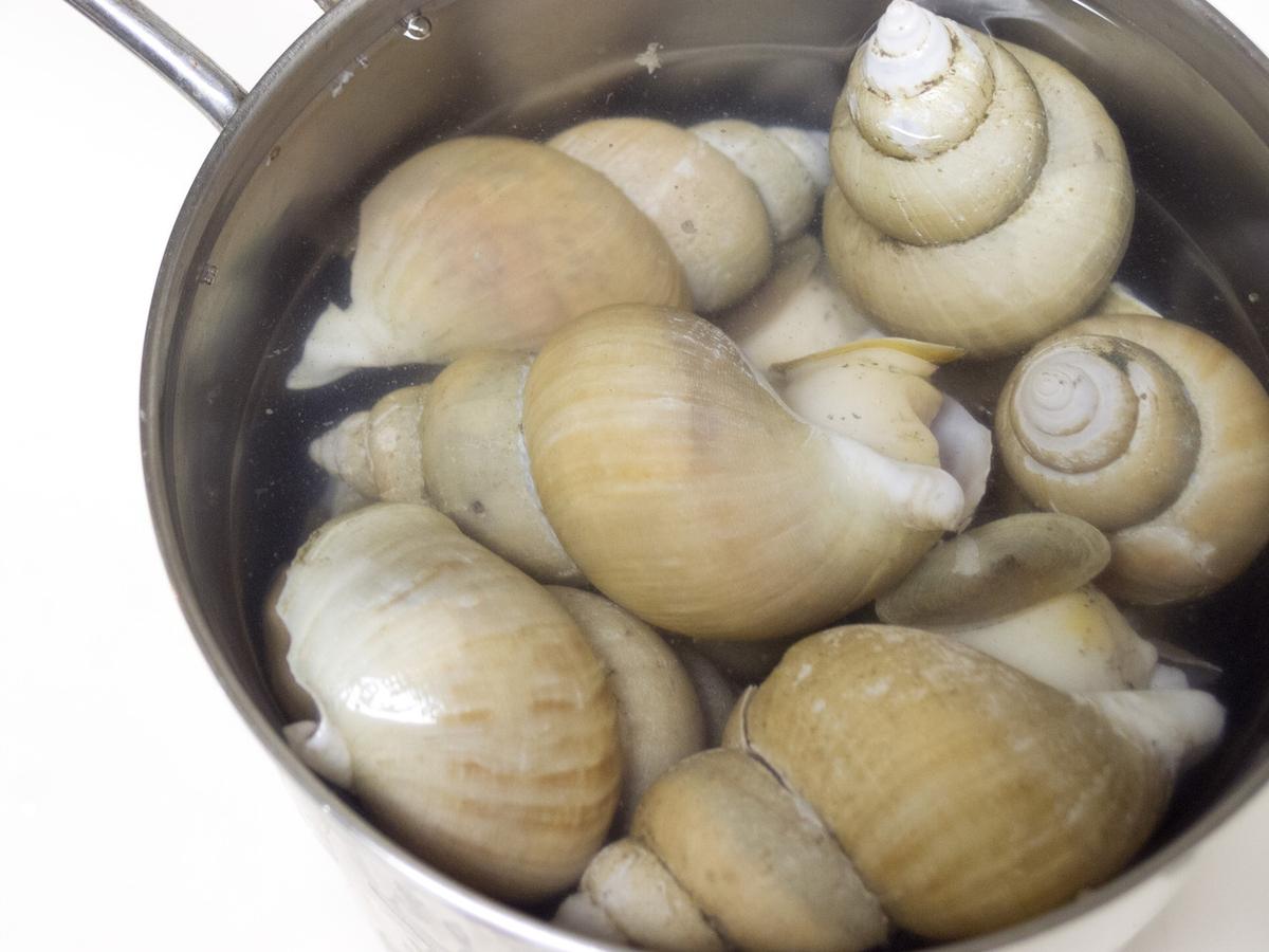 ツブ貝, ばい貝, バイ貝, やわらかい, 煮る, 煮付け, おつまみ, 茹で方, レシピ