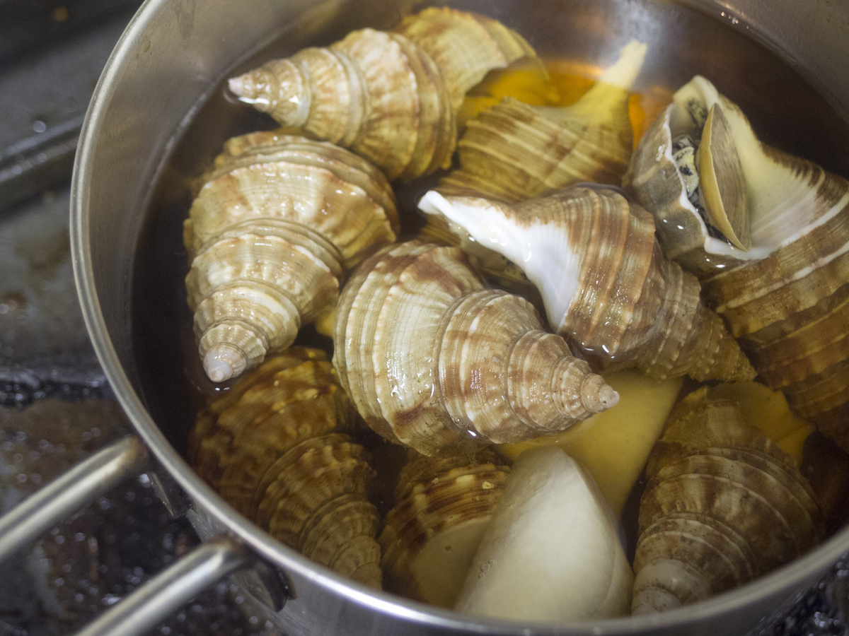ツブ貝, ばい貝, バイ貝, やわらかい, 煮る, 煮付け, おつまみ, 茹で方, レシピ