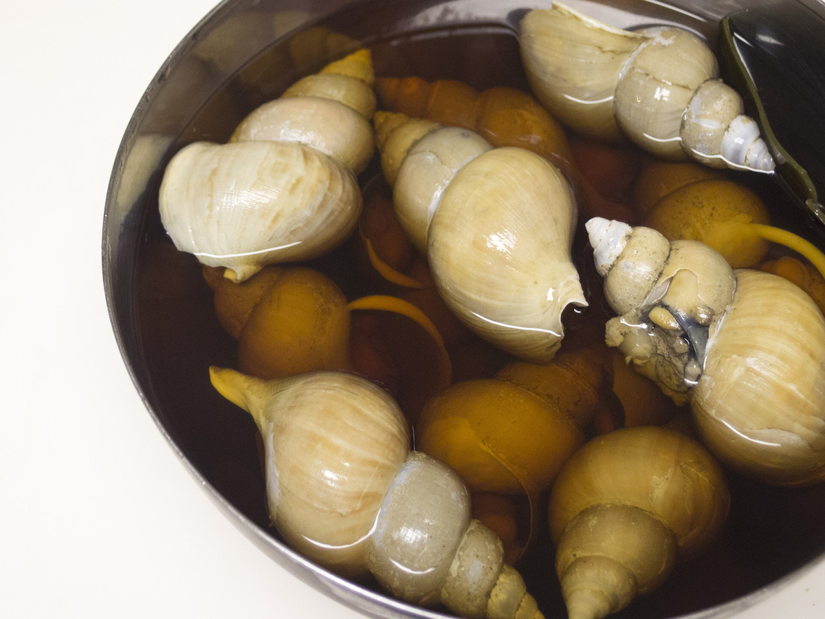 ツブ貝, ばい貝, バイ貝, やわらかい, 煮る, 煮付け, おつまみ, 茹で方, レシピ