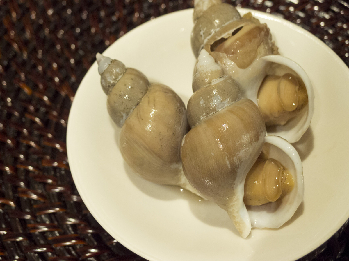ツブ貝, ばい貝, バイ貝, やわらかい, 煮る, 煮付け, おつまみ, 茹で方, レシピ