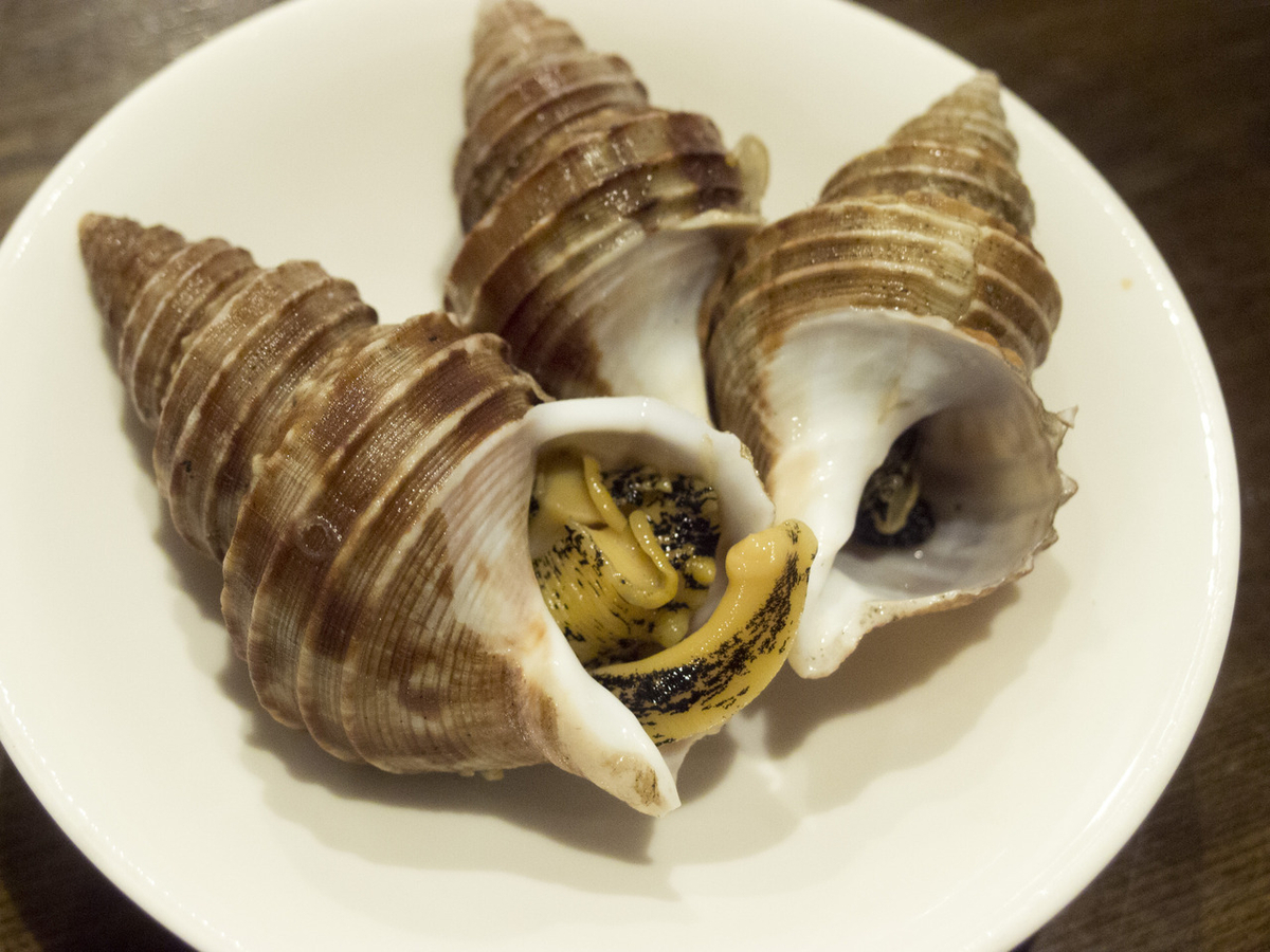 ツブ貝, ばい貝, バイ貝, やわらかい, 煮る, 煮付け, おつまみ, 茹で方, レシピ