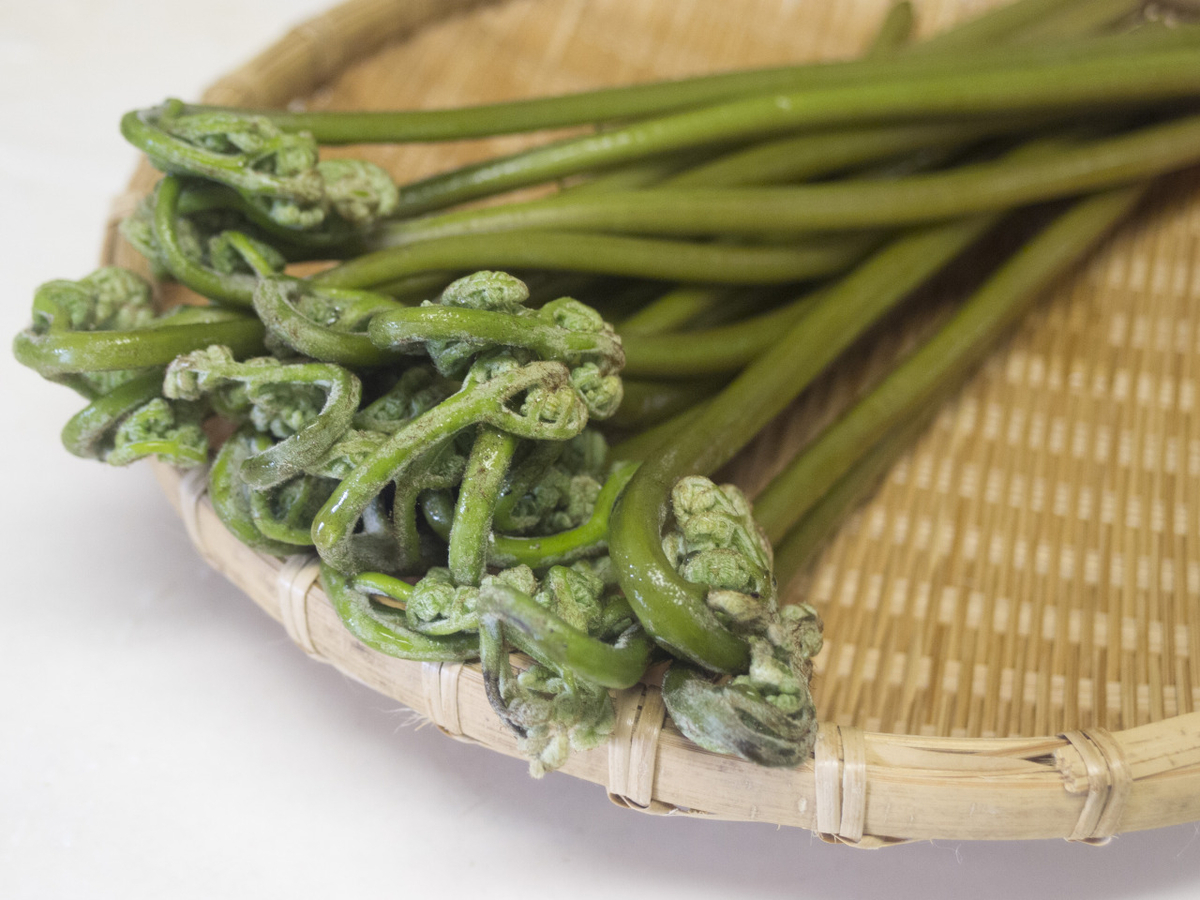 ワラビ, 蕨, 灰汁抜き, あく抜き, 食べ方