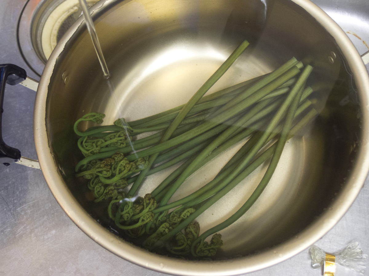 ワラビ, 蕨, 灰汁抜き, あく抜き, 食べ方