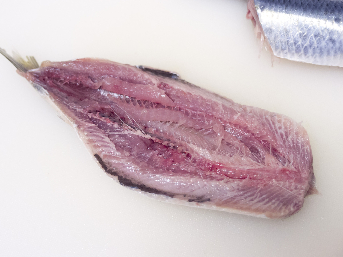 いわし, 鰯, イワシ, 梅肉, 梅干し, 梅雨, 梅肉揚げ,紫蘇, 大葉, ロール, フライ, レシピ