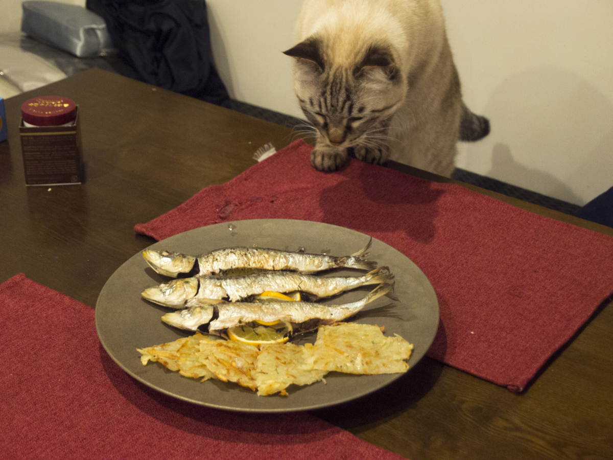 イワシ, いわし, 鰯, グリル, オーブン焼き, レシピ