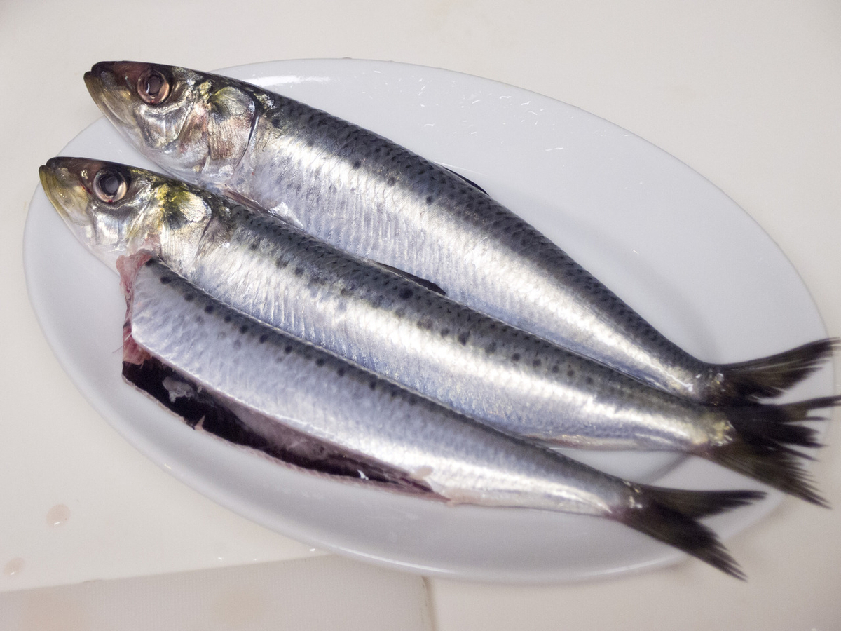 イワシ, いわし, 鰯, マリネ, レシピ, 酢締め