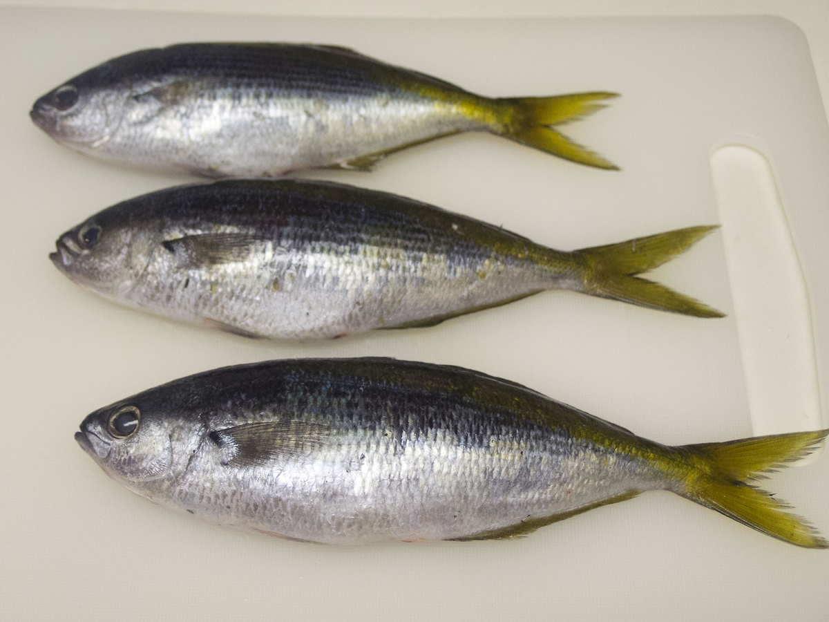 タカベ,  清蒸, 中華, レシピ, 食べ方, 清蒸鮮魚