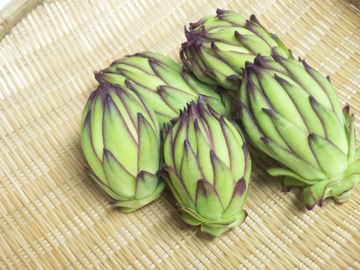 ドラゴンフルーツ, 蕾, つぼみ, 食べ方, 天ぷら, レシピ, 宮古島