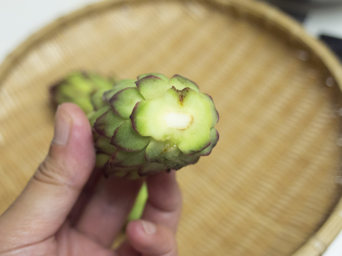 ドラゴンフルーツ, 蕾, つぼみ, 食べ方, 天ぷら, レシピ, 宮古島