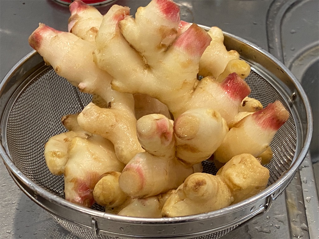 新生姜, 泡姜, 泡菜生姜, 泡菜新生姜, つくりかた, レシピ, 紅生姜
