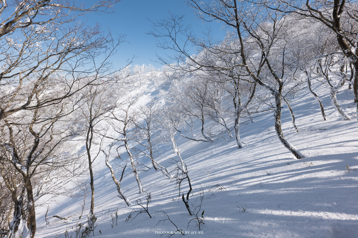 f:id:Y-432:20200211124905j:plain