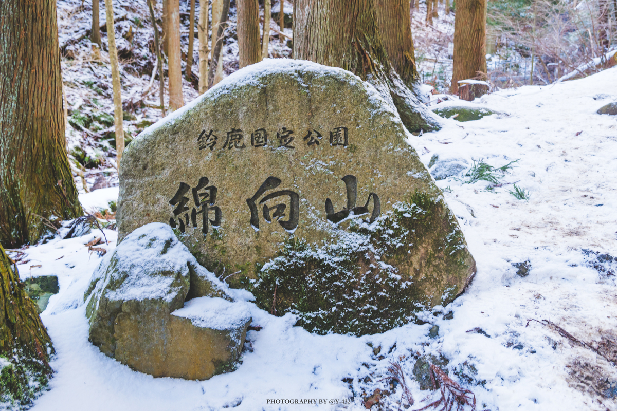 f:id:Y-432:20200214234026j:plain