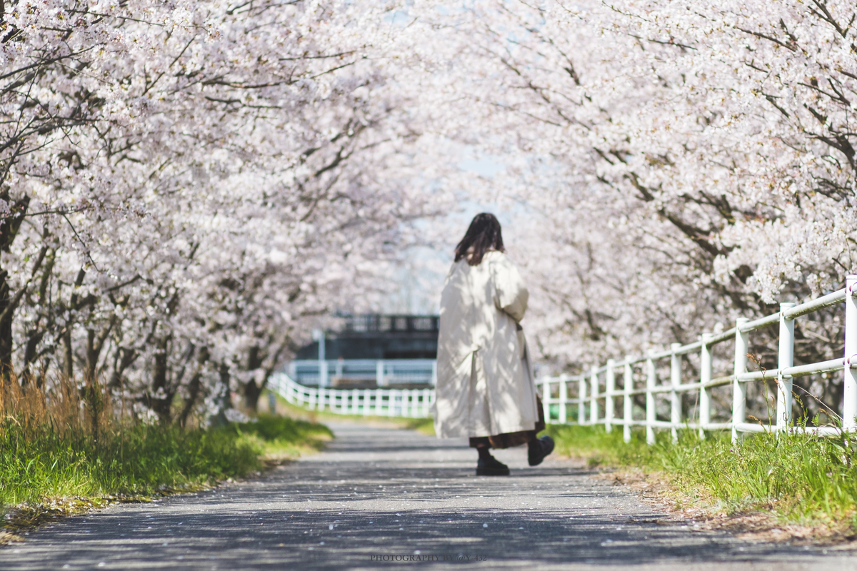 f:id:Y-432:20200414004551j:plain