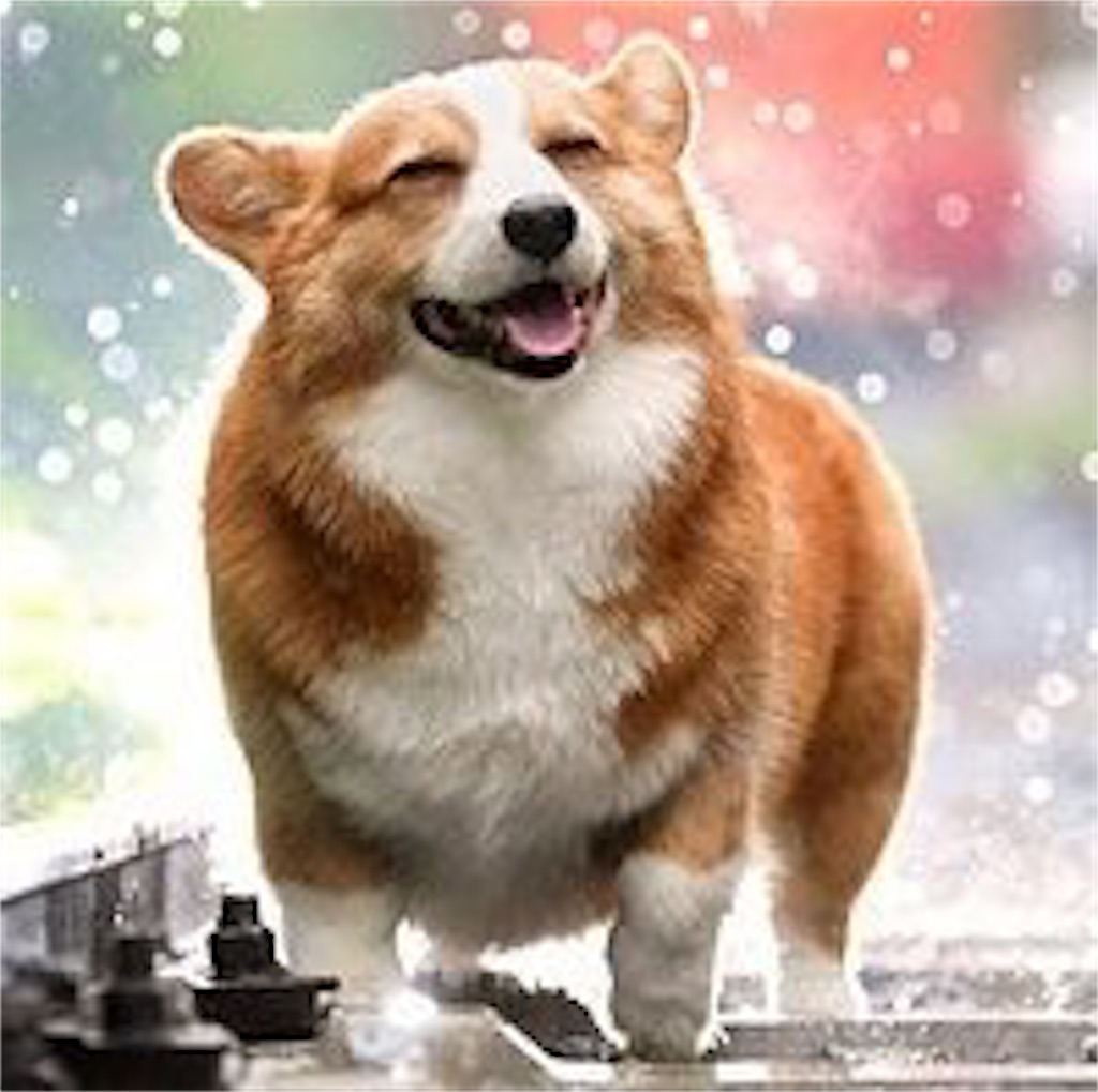 f:id:Y-konno:20191226220603j:image