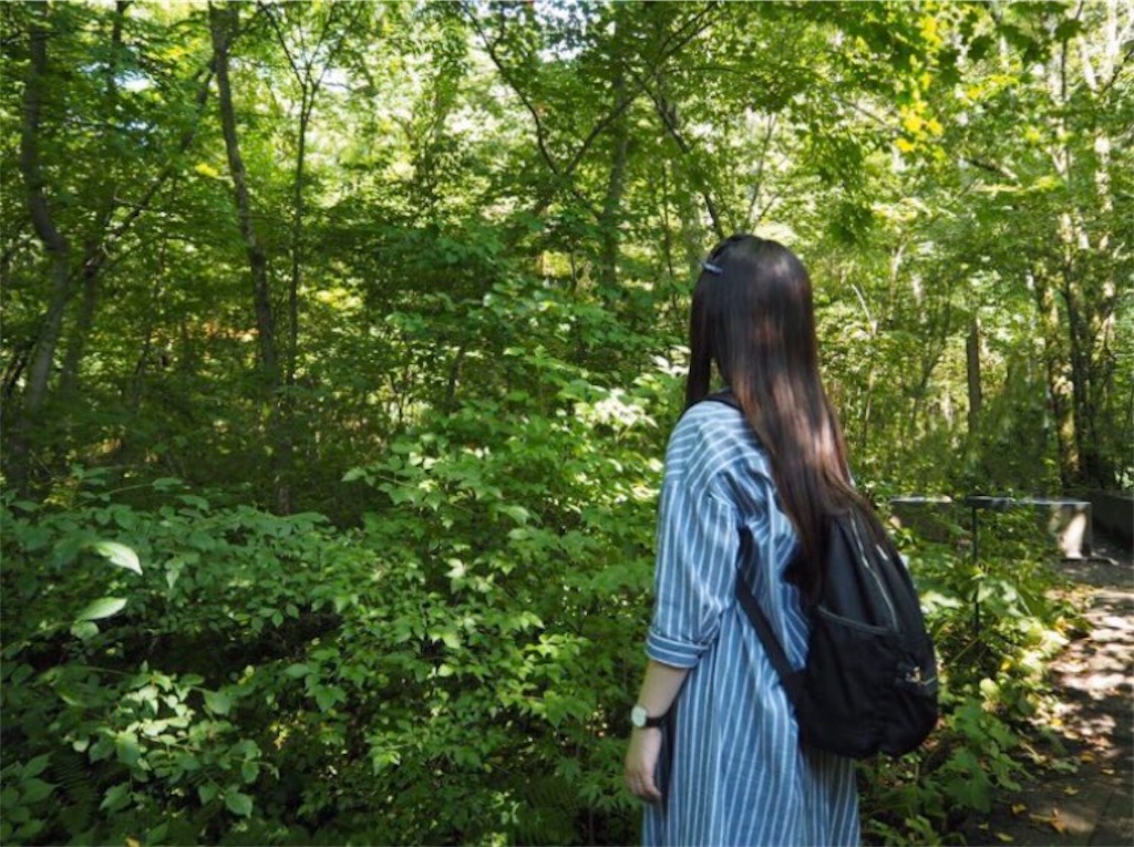 f:id:Y-konno:20191227103440j:image