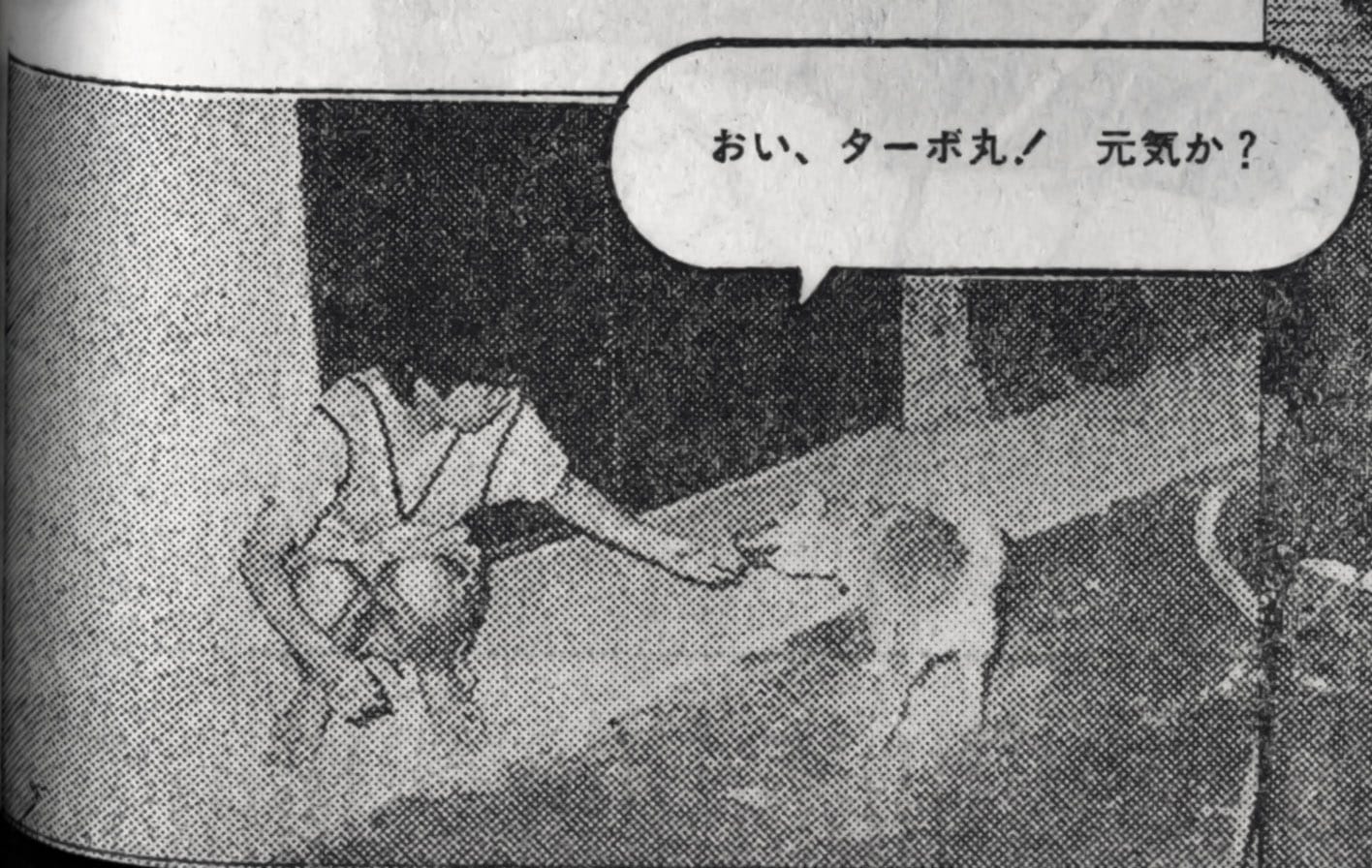 《科幻漫画竞作大全集》1983年11月采访，夫人与涡轮丸