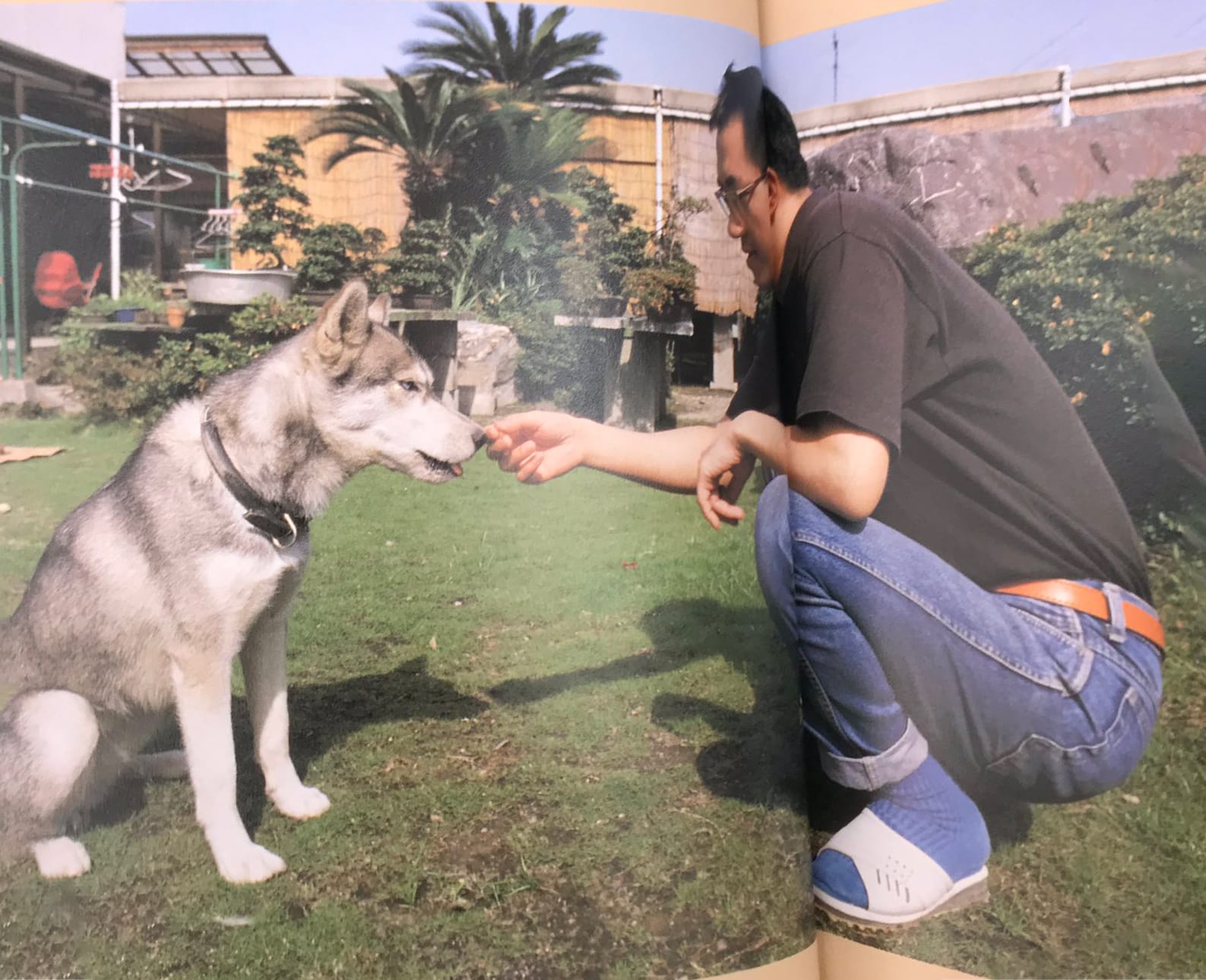 唯一一张鸟山明家院子里的照片。可惜没有原图