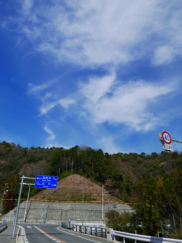 f:id:YAGIGG:20190405182311j:plain