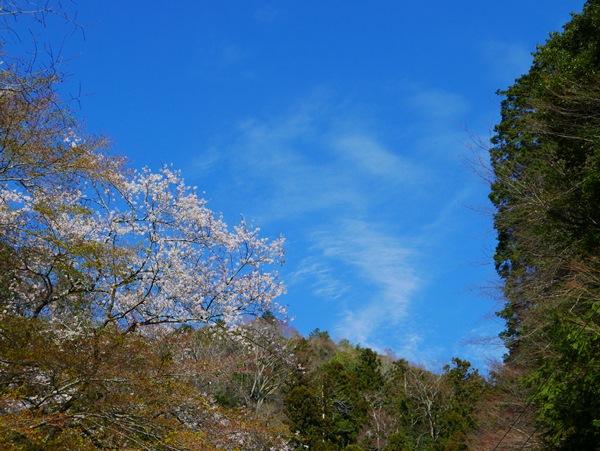 f:id:YAGIGG:20190405193738j:plain