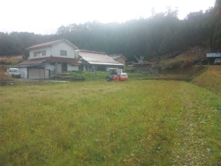 f:id:YAI_FARM:20131113094012j:image