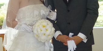 f:id:YAI_FARM:20140114133211j:image