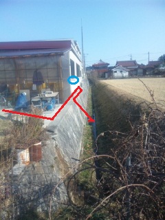 f:id:YAI_FARM:20140131150129j:image