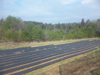 f:id:YAI_FARM:20140329090330j:image
