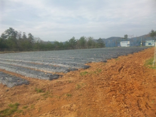 f:id:YAI_FARM:20140329090519j:image