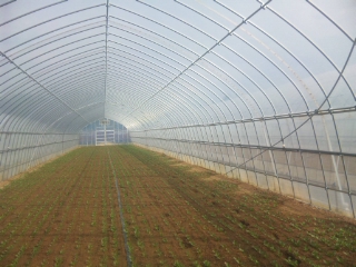 f:id:YAI_FARM:20140329090654j:image