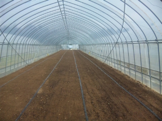 f:id:YAI_FARM:20140329090739j:image