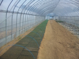 f:id:YAI_FARM:20140329090811j:image