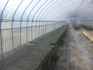 f:id:YAI_FARM:20140329090917j:image