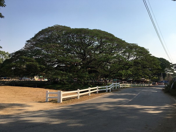 f:id:YASU1964:20190414174216j:plain