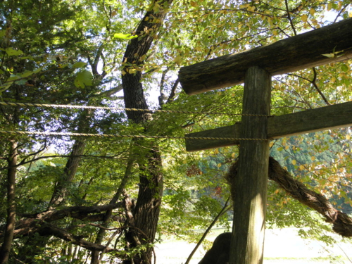 f:id:YBR125K:20141105172301j:image