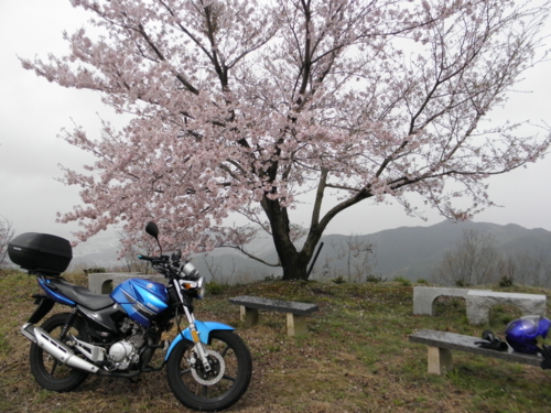 f:id:YBR125K:20160415151213j:image f:id:YBR125K:20160415151213j:image