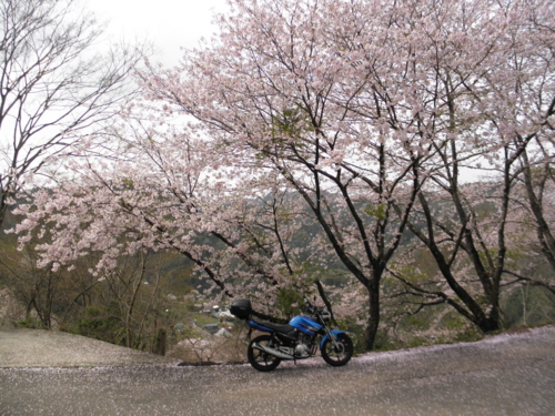 f:id:YBR125K:20160415182705j:image f:id:YBR125K:20160415182705j:image
