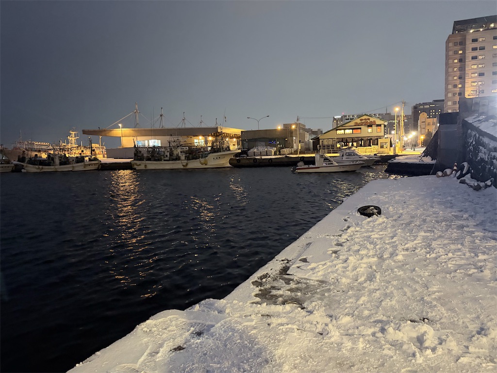 f:id:YMYM-U:20260101214122j:image