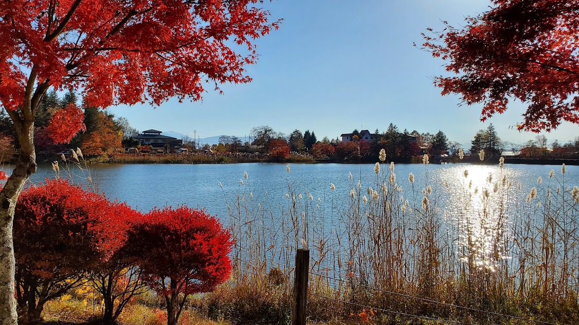 紅葉シーズンの蓼科湖