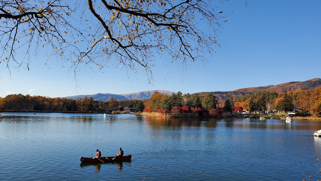 紅葉した木々に囲まれた蓼科湖