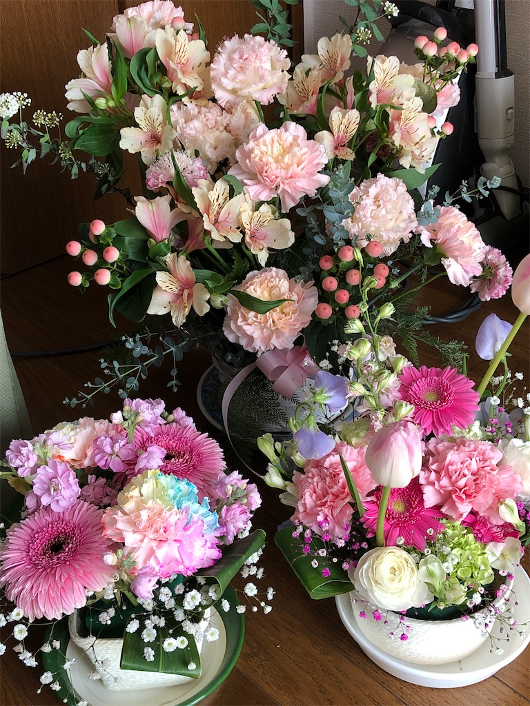 f:id:YORIKO:20240212192825j:image