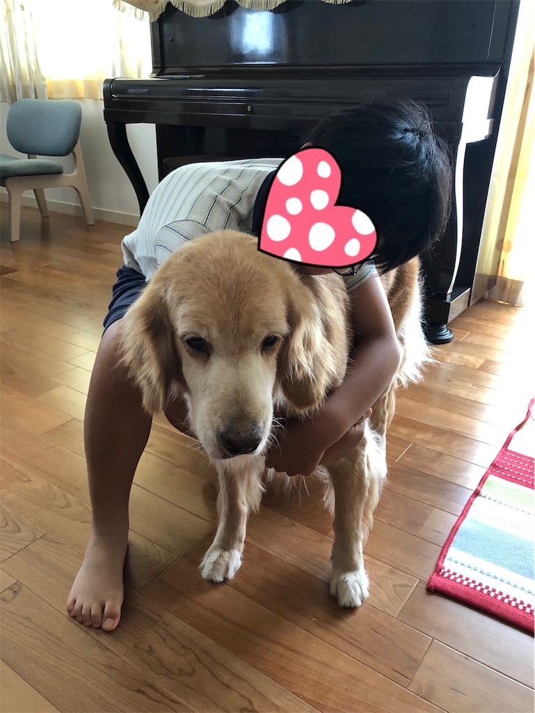 f:id:YORIKO:20240217102925j:image