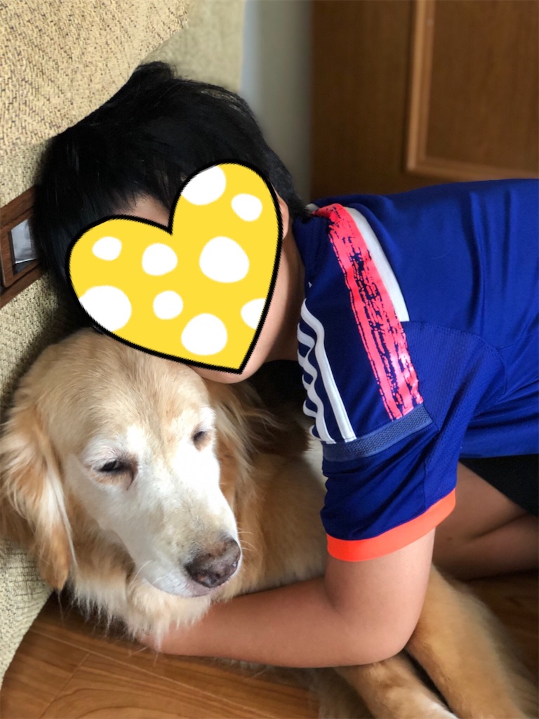 f:id:YORIKO:20240217102928j:image