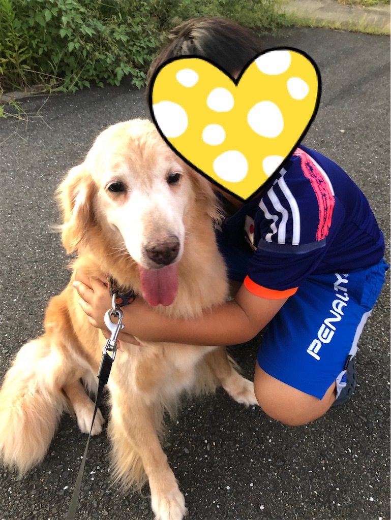 f:id:YORIKO:20240217103730j:image