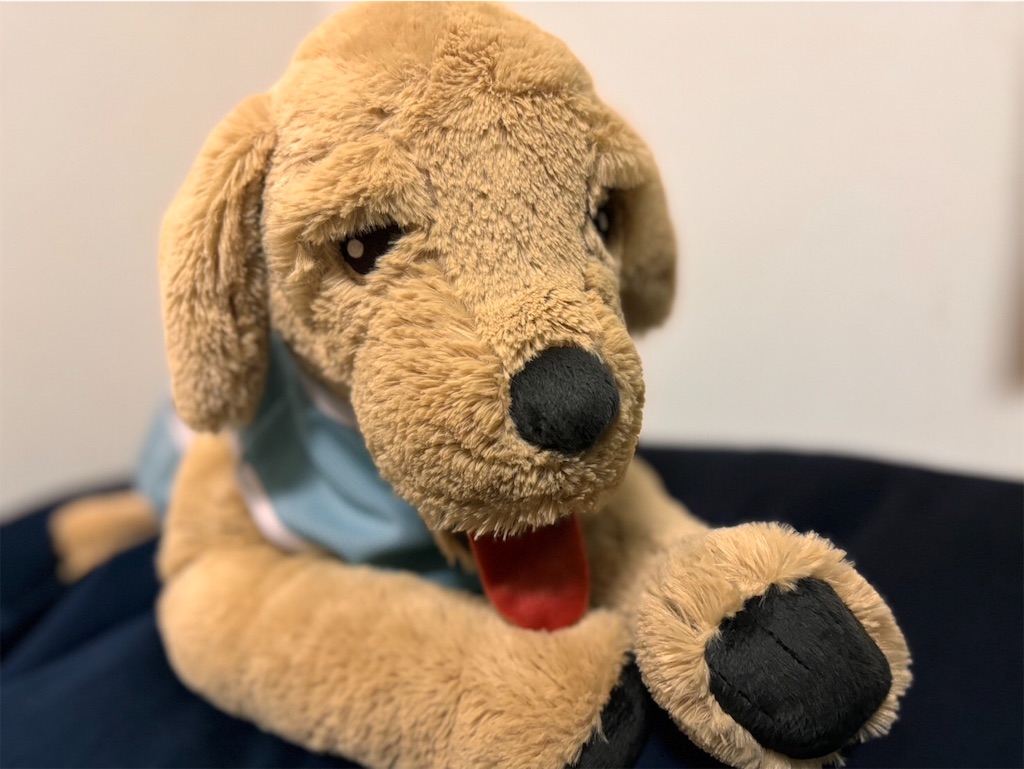 f:id:YORIKO:20240302224708j:image